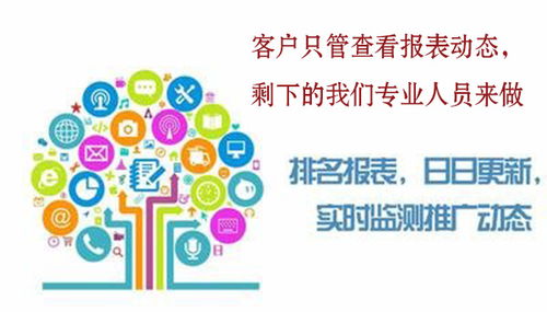 濰坊加盟行業網絡策劃與全網營銷外包代理 驅動品牌增長的市場引擎